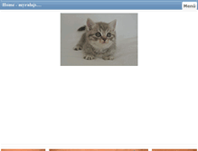 Tablet Screenshot of myralaj.com